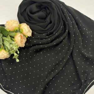 chiffon pallu stone work
