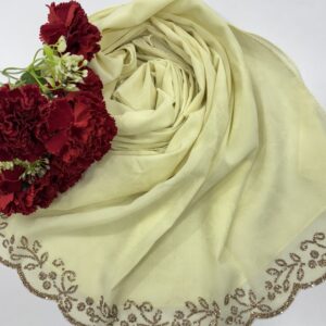 chiffon shimmer emboss fabric with pallu copper zharkand stone work