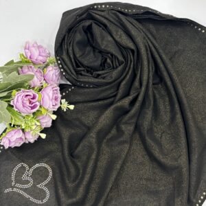 chiffon shimmer with 4 side sequence and stone work