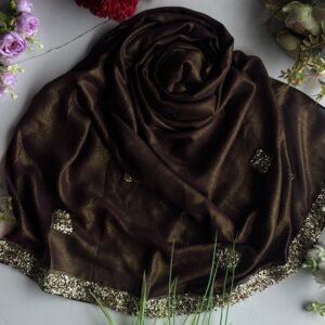 chiffon shimmer pallu designs
