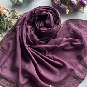 chiffon imported fabric with 4 side stone work