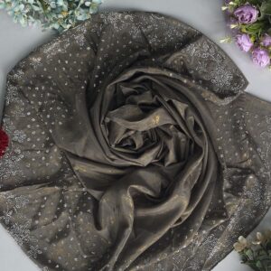 chiffon embose fabric with border stone work
