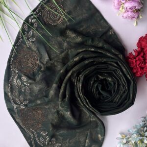 chiffon shimmer pallu heavy stone work