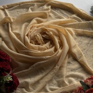 chiffon border stone work