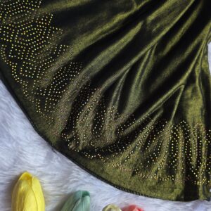 Erani fabric with border heavy Rainbow stone work hijabs