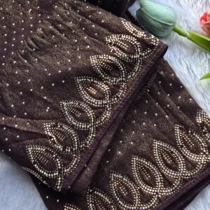 New trending pallu heavy dmc stone work hijabs