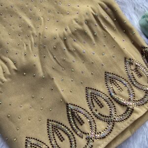 New chiffon pallu heavy dmc stone