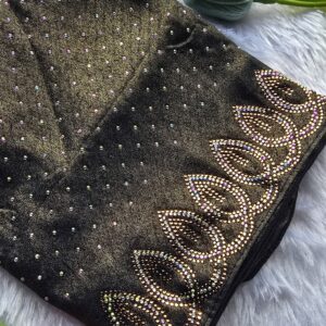 New chiffon pallu heavy dmc stone